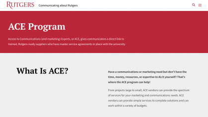 ACE supplier program screenshot