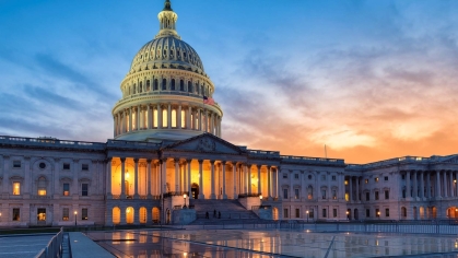 The Capitol Building in Washington DC