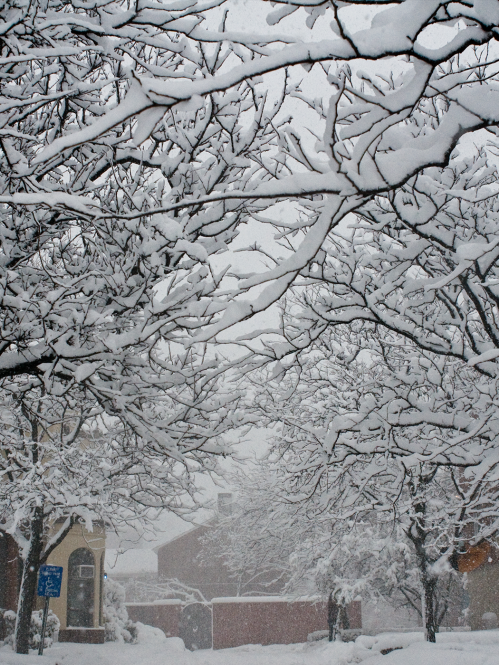 snow blizzard on College Avenue campus